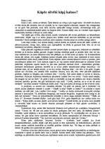 Referāts 'Alpīnisms', 7.