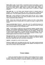 Referāts 'Alpīnisms', 15.