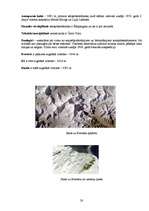 Referāts 'Alpīnisms', 28.