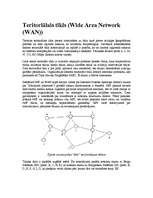 Konspekts 'Pilsēttīkls, lokālais tīkls, teritoriālais tīkls, maršrutētāji, tīkls Ethernet u', 3.