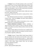 Referāts 'Romiešu tiesības', 7.