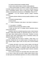 Referāts 'Birokrātija', 5.