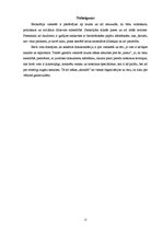 Referāts 'Birokrātija', 12.