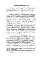 Referāts 'Pilsoniskās sabiedrības veidošanās Latvijā', 8.