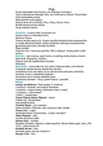 Konspekts '19.gadsimts', 1.