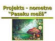 Referāts 'Projekts - nometne "Pasaku mežā"', 22.