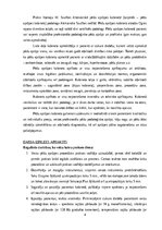 Prakses atskaite 'Kvalifikācijas prakses dienasgrāmata podoloģijā', 4.