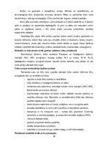 Prakses atskaite 'Kvalifikācijas prakses dienasgrāmata podoloģijā', 38.