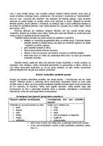 Konspekts 'Fiziska un emocionāla vardarbība pret bērnu', 2.