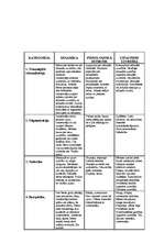 Konspekts 'Fiziska un emocionāla vardarbība pret bērnu', 8.