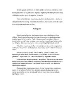 Referāts 'Musulmaņu tiesību sistēmas raksturojums', 7.