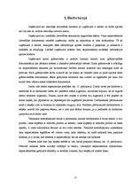 Prakses atskaite 'Kvalifikācijas prakses atskaite', 17.