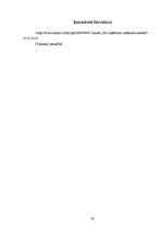 Prakses atskaite 'Kvalifikācijas prakses atskaite', 30.