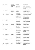 Paraugs 'Terminelementi latīņu valodā', 3.