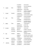 Paraugs 'Terminelementi latīņu valodā', 4.
