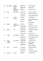 Paraugs 'Terminelementi latīņu valodā', 7.