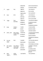 Paraugs 'Terminelementi latīņu valodā', 8.