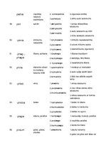 Paraugs 'Terminelementi latīņu valodā', 9.