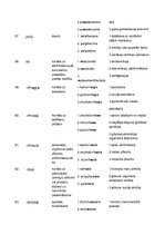 Paraugs 'Terminelementi latīņu valodā', 10.