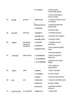 Paraugs 'Terminelementi latīņu valodā', 11.