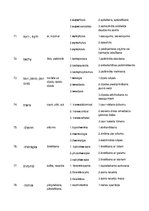 Paraugs 'Terminelementi latīņu valodā', 12.