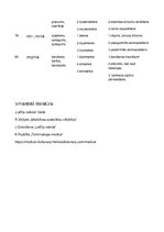 Paraugs 'Terminelementi latīņu valodā', 13.