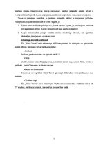 Prakses atskaite 'Prakses pārskats SIA "Nikos Travel"', 5.