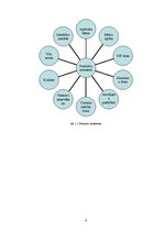 Prakses atskaite 'Prakses pārskats SIA "Nikos Travel"', 6.