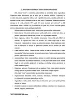 Prakses atskaite 'Prakses pārskats SIA "Nikos Travel"', 7.