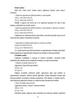 Prakses atskaite 'Prakses pārskats SIA "Nikos Travel"', 16.