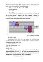 Prakses atskaite 'Prakses pārskats SIA "Nikos Travel"', 18.