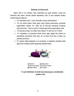 Referāts 'Nākotnes vīzija par gaļas baložu pieprasījumu un patēriņu', 17.