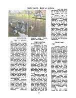 Referāts 'Nākotnes vīzija par gaļas baložu pieprasījumu un patēriņu', 25.