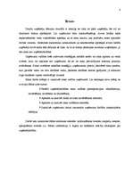 Referāts 'Risku vadības pilnveidošana uzņēmumā', 4.