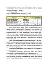 Referāts 'Risku vadības pilnveidošana uzņēmumā', 20.