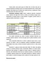 Referāts 'Risku vadības pilnveidošana uzņēmumā', 22.