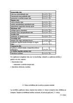 Referāts 'Risku vadības pilnveidošana uzņēmumā', 30.