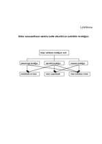 Referāts 'Risku vadības pilnveidošana uzņēmumā', 45.