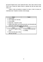 Referāts 'Mistika un realitāte Stefanijas Meieres darbā "Krēsla"', 19.