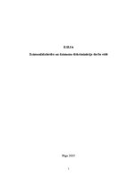 Eseja 'Dzimumlīdztiesība un dzimumu diskriminācija darba vidē', 1.