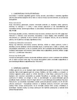 Konspekts 'Detaļu un sagatavju pirmapstrāde', 5.