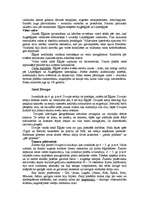 Konspekts 'Senā Ēģipte un Divupe', 3.