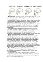 Referāts 'Cilvēku izcelšanās. Evolucionārā teorija', 5.