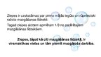 Prezentācija 'Ziepes', 2.