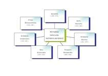 Konspekts 'Garīgums pasaules un latviešu pedagoģijas klasiķu darbos', 10.