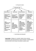 Referāts 'Bezdarbs un tā sekas Latvijā', 7.