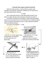 Referāts 'Augsnes apstrādes darbarīku evolūcija Latvijā', 7.