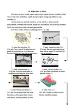 Referāts 'Augsnes apstrādes darbarīku evolūcija Latvijā', 9.
