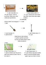 Referāts 'Augsnes apstrādes darbarīku evolūcija Latvijā', 12.