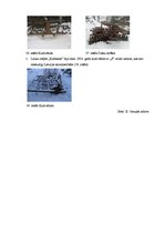 Referāts 'Augsnes apstrādes darbarīku evolūcija Latvijā', 15.